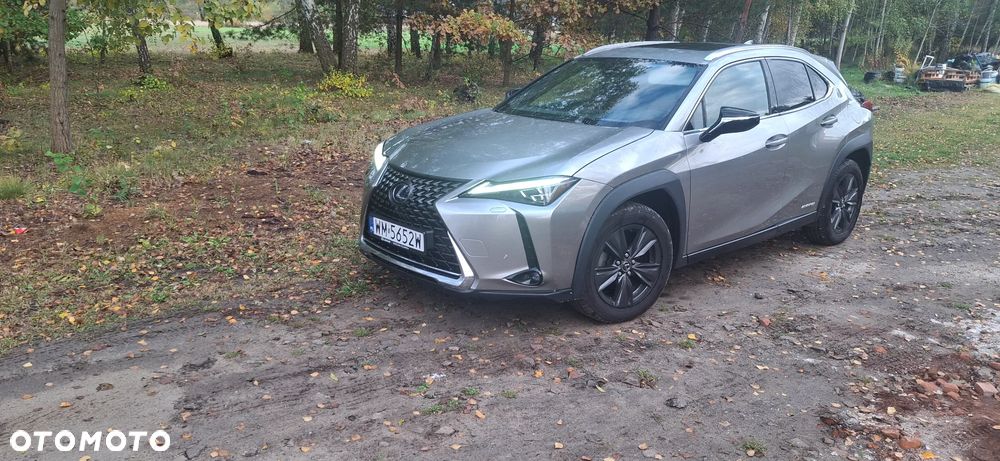 Lexus UX 250h GPF Omotenashi AWD - 1