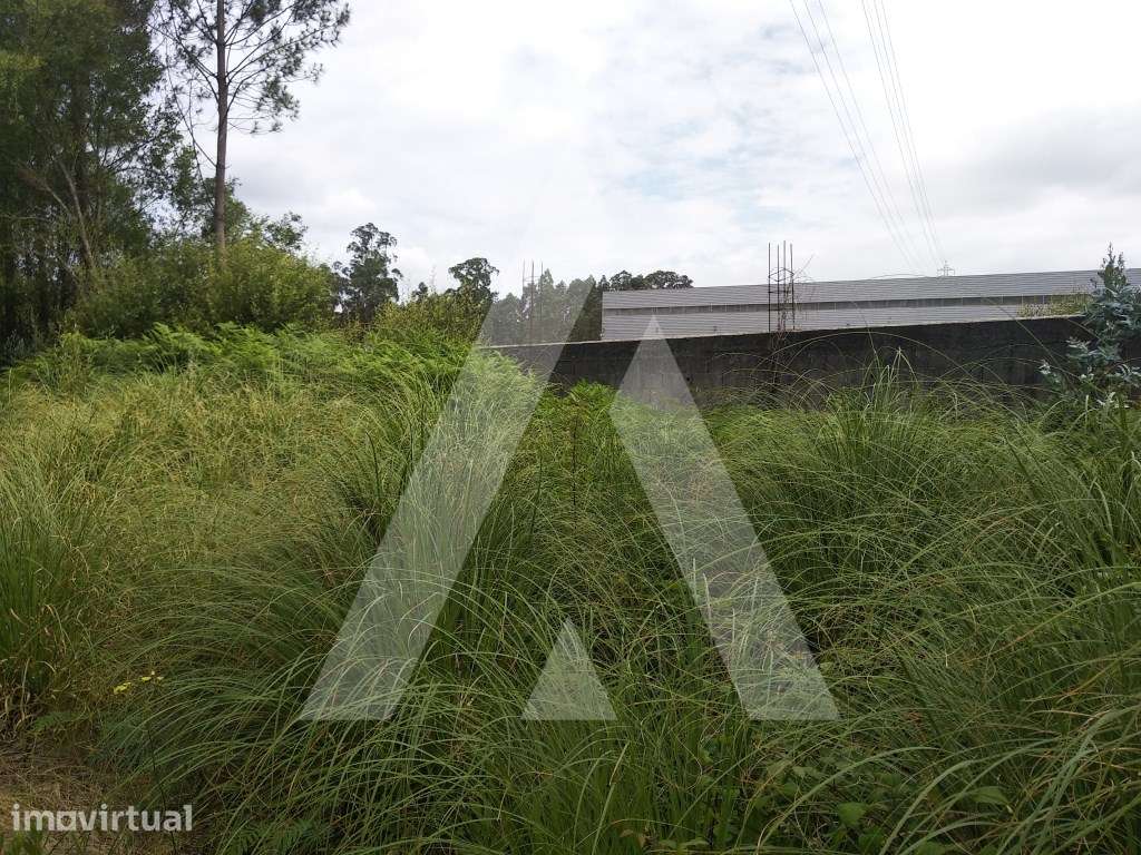 Terreno Industrial em Loureiro, Oliveira de Azeméis - Grande imagem: 3/8