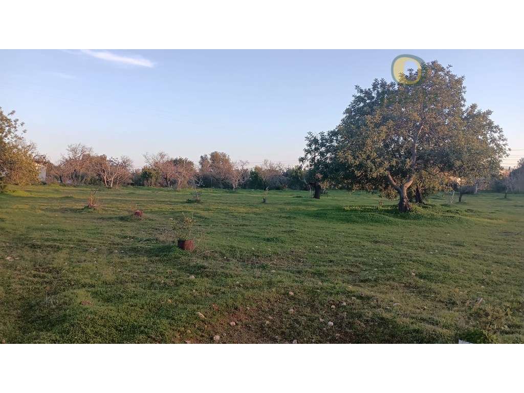 Terreno Rústico Venda Olhão - Grande imagem: 3/4