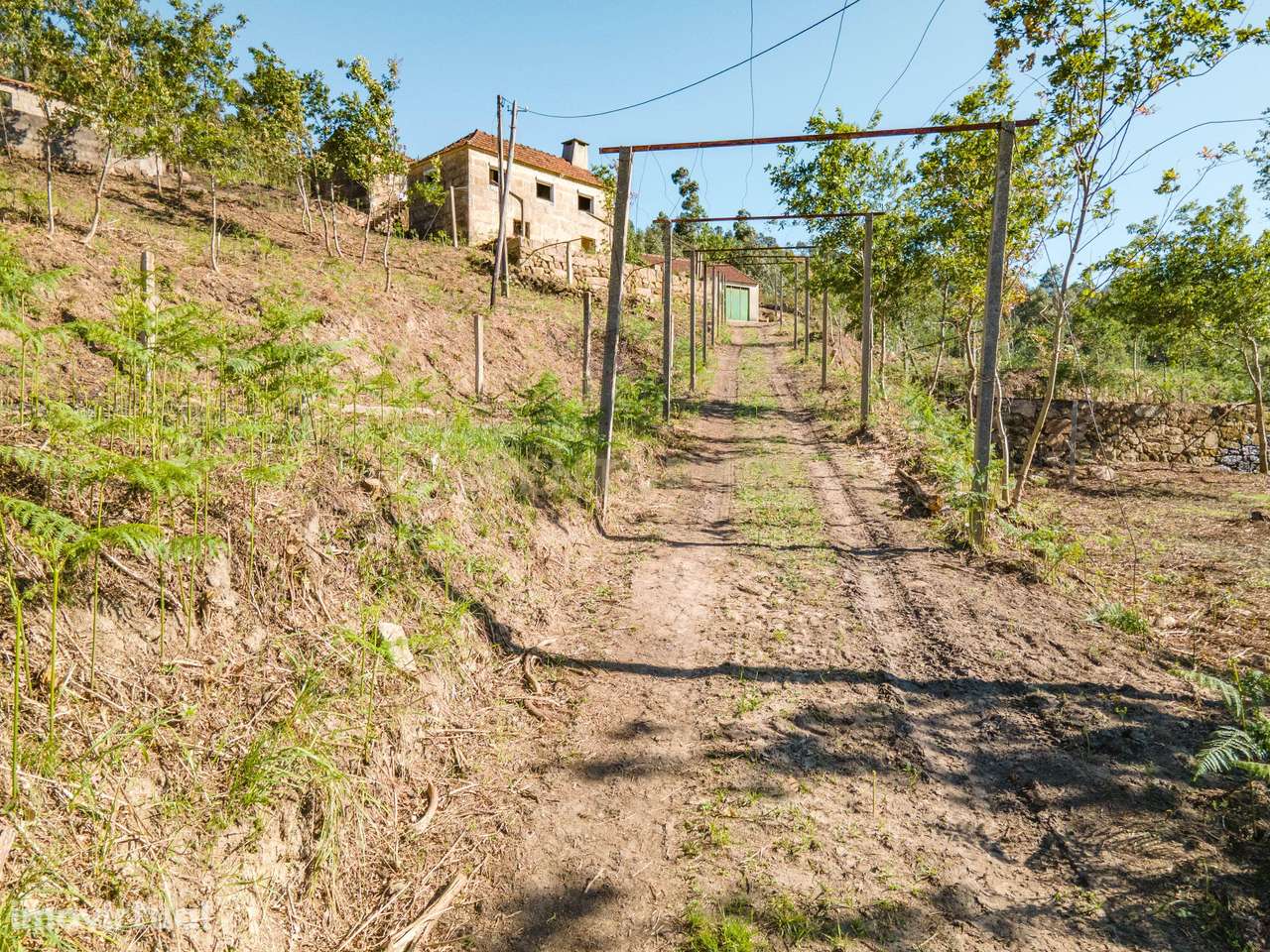 Oportunidade de Investimento – Quinta com Potencial Habitacional e Tur - Grande imagem: 2/29