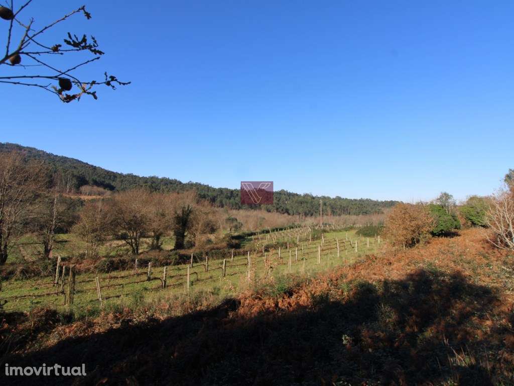 Terreno - Grande imagem: 5/12