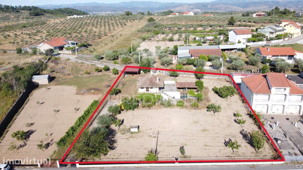 Moradia com terreno e olival à venda na Bouça – Mirandela - Grande imagem: 3/26