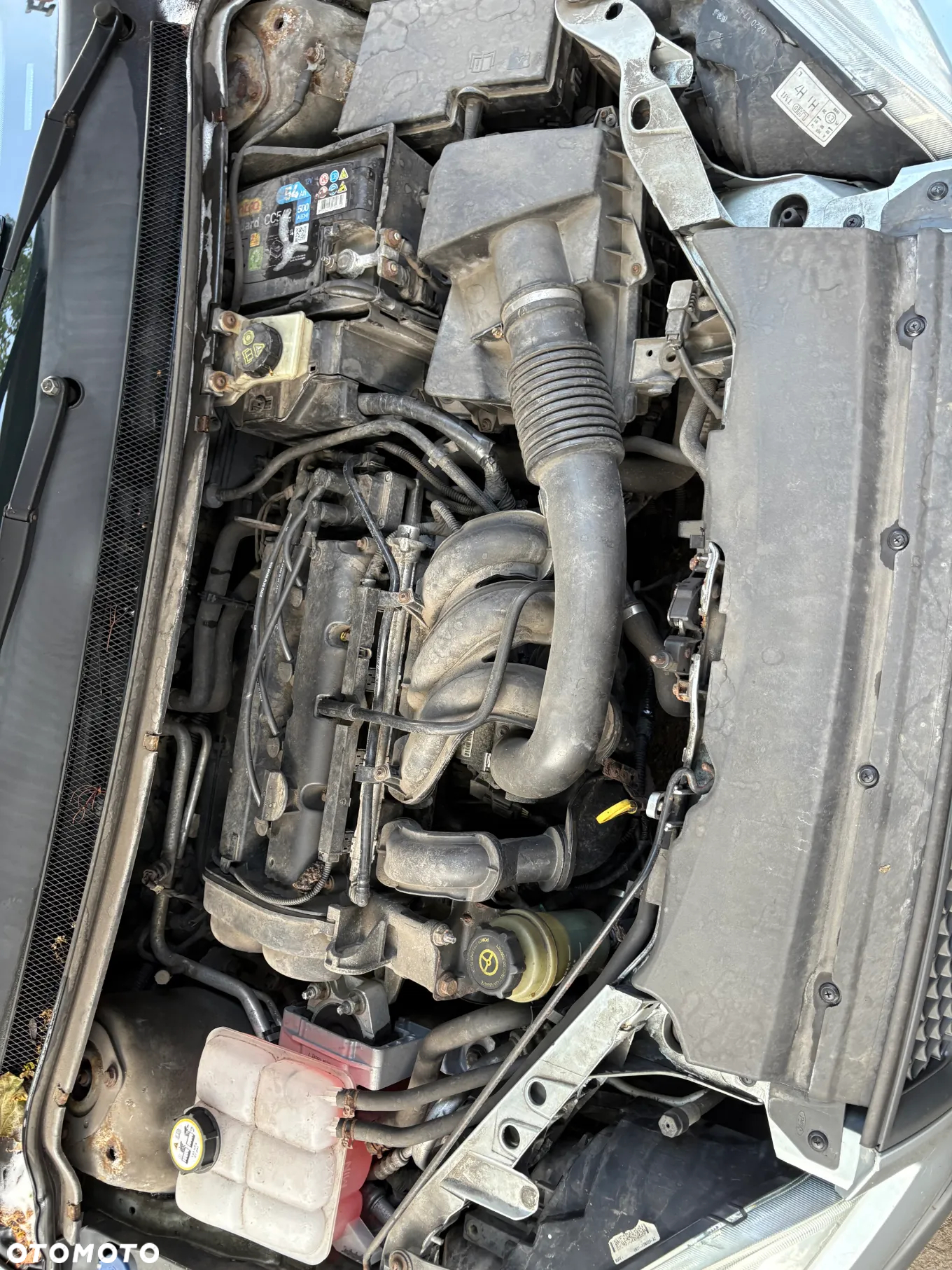 Ford Focus 1.6 FX Gold - 6
