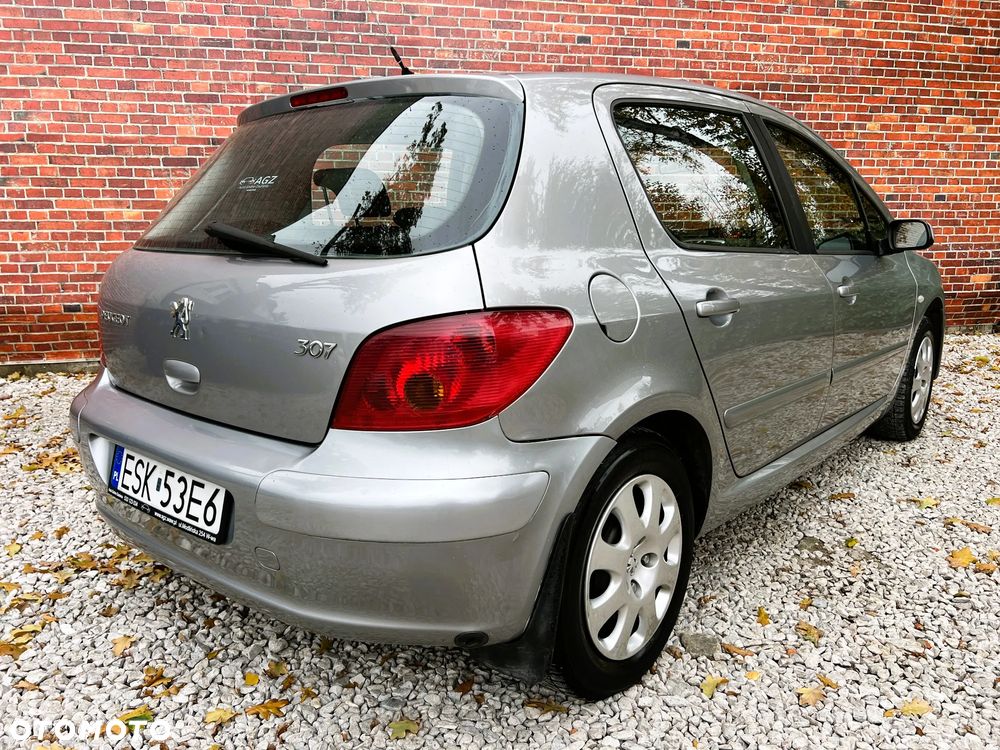 Peugeot 307 - 4