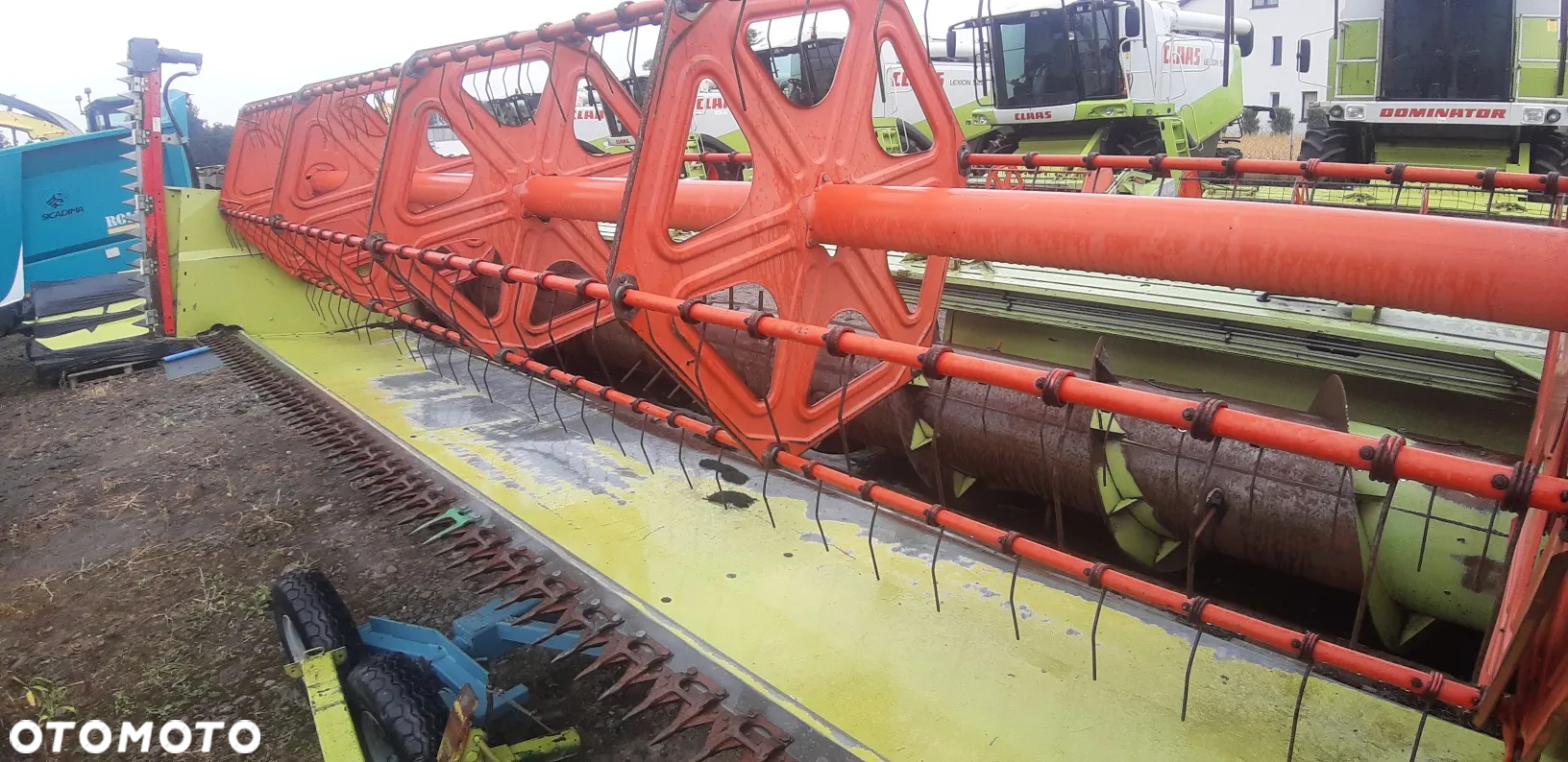 Stół do rzepaku Claas ZIEGLER 5,1m - 5