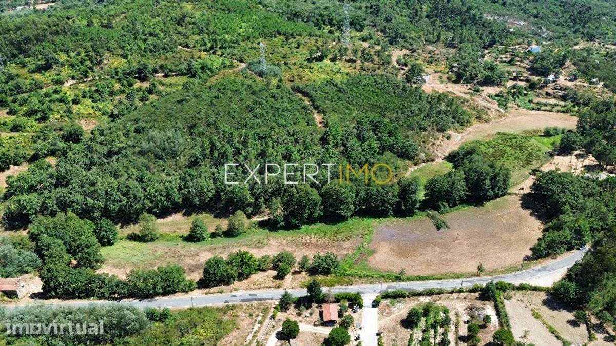 Terreno de 3,8 ha Atravessado pelo Rio Cobral – Várzea de Meruge,... - Grande imagem: 5/18