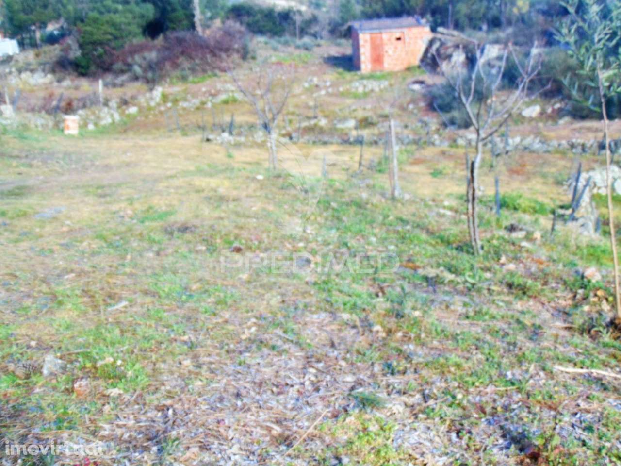 Terreno na Cumieira / Santa Marta de Penaguião - Grande imagem: 4/32