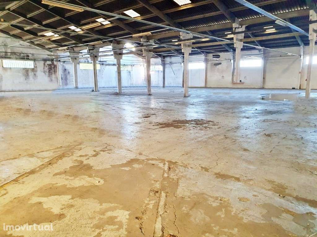 Unidade industrial em Nogueira da Maia - Grande imagem: 5/9