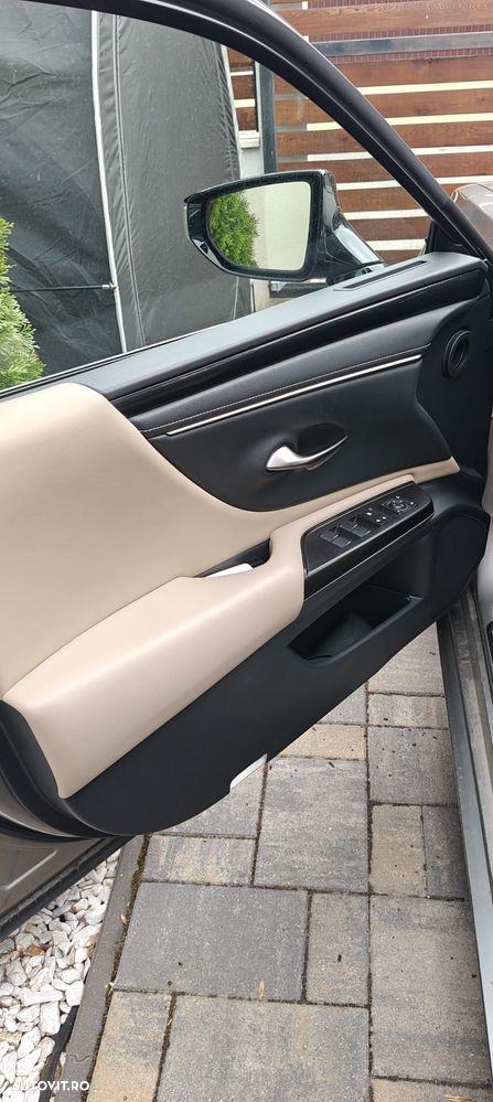 Lexus Seria ES 300h Executive - 20