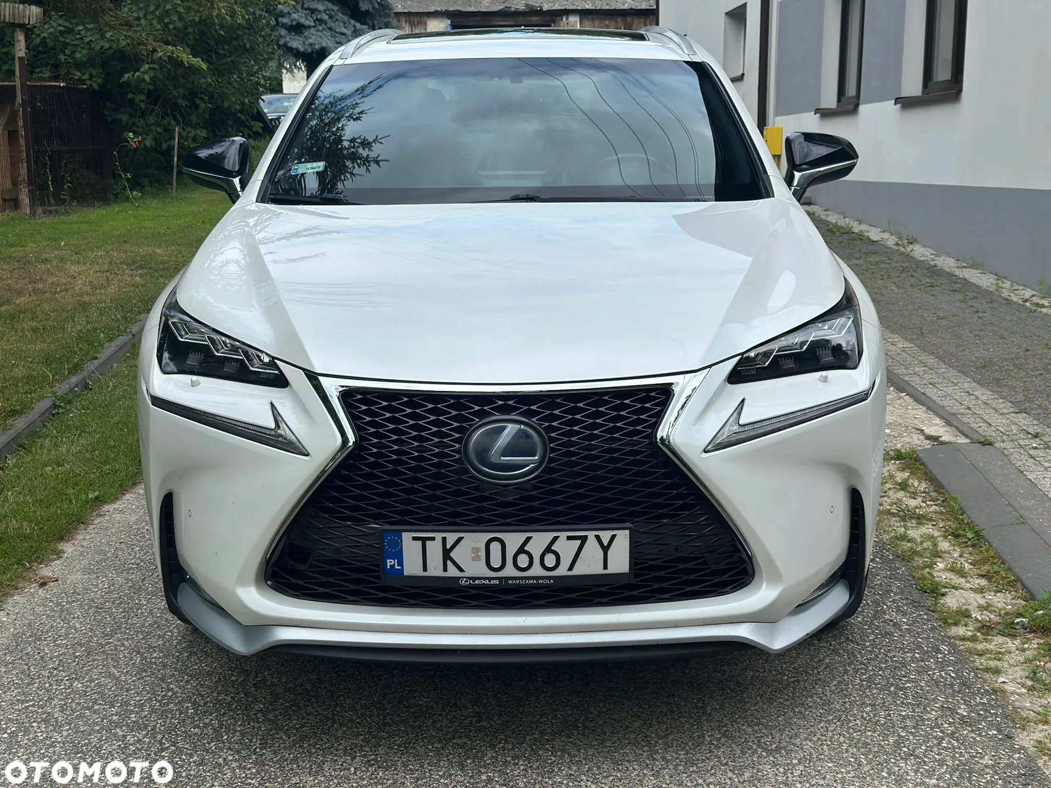 Lexus NX 300h - 6