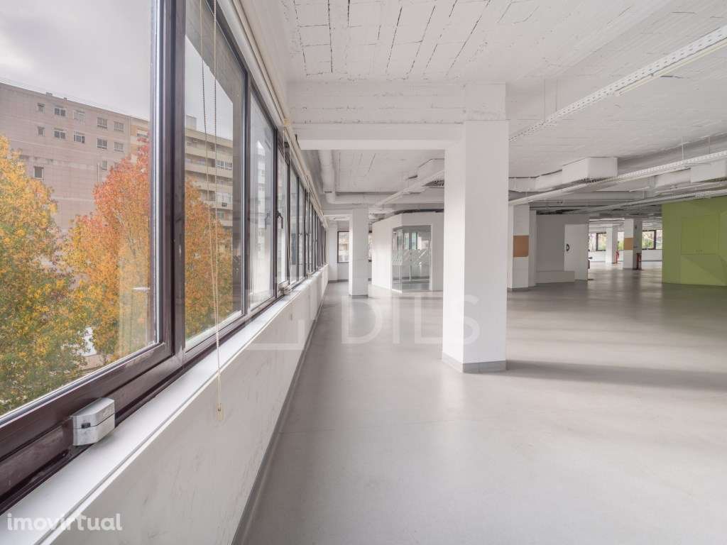Escritório para arrendar, na Rua Ricardo Severo, Boavista - Grande imagem: 3/21