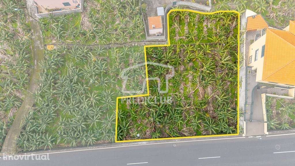 Terreno 600 m2 - Ribeira Brava - Grande imagem: 2/11