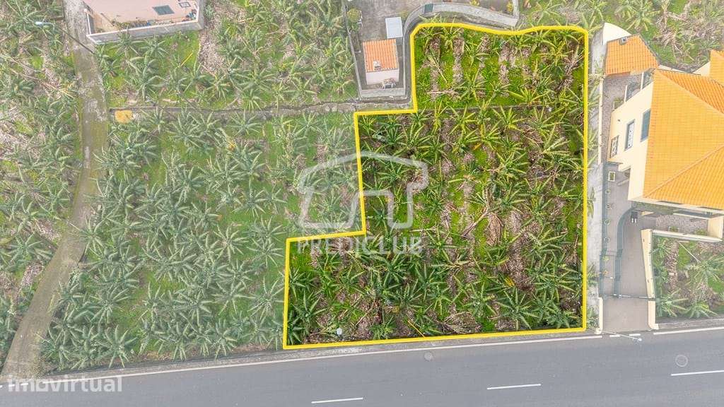 Terreno 600 m2 - Ribeira Brava - Grande imagem: 2/11