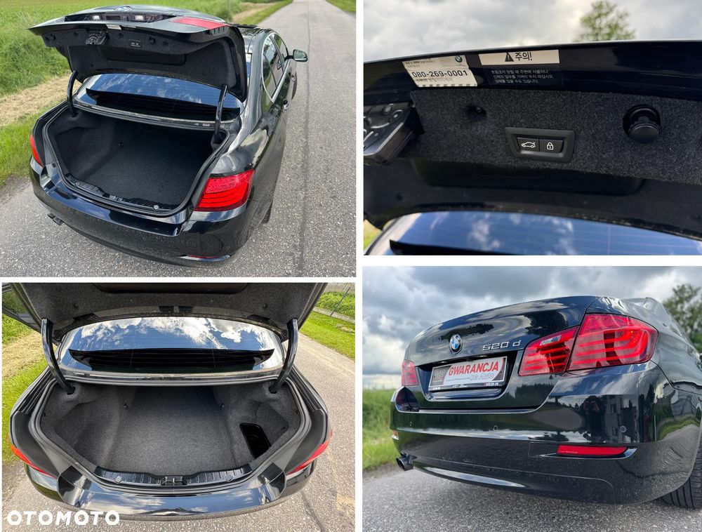 BMW Seria 5 520d Luxury Line - 20