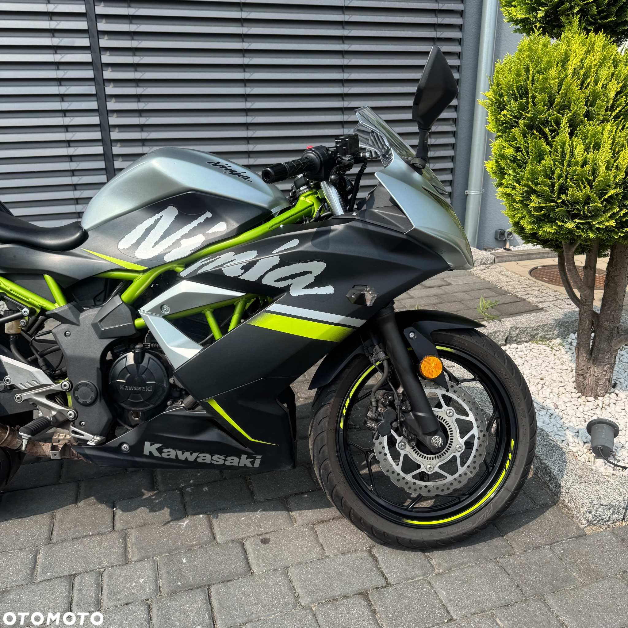 Kawasaki Ninja - 3