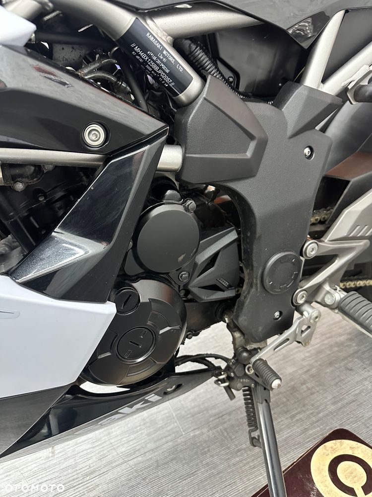 Kawasaki Ninja - 22