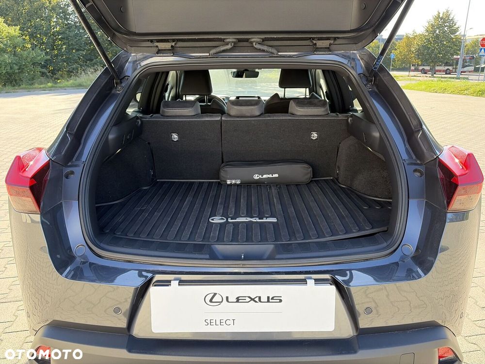 Lexus UX 300h Business - 16