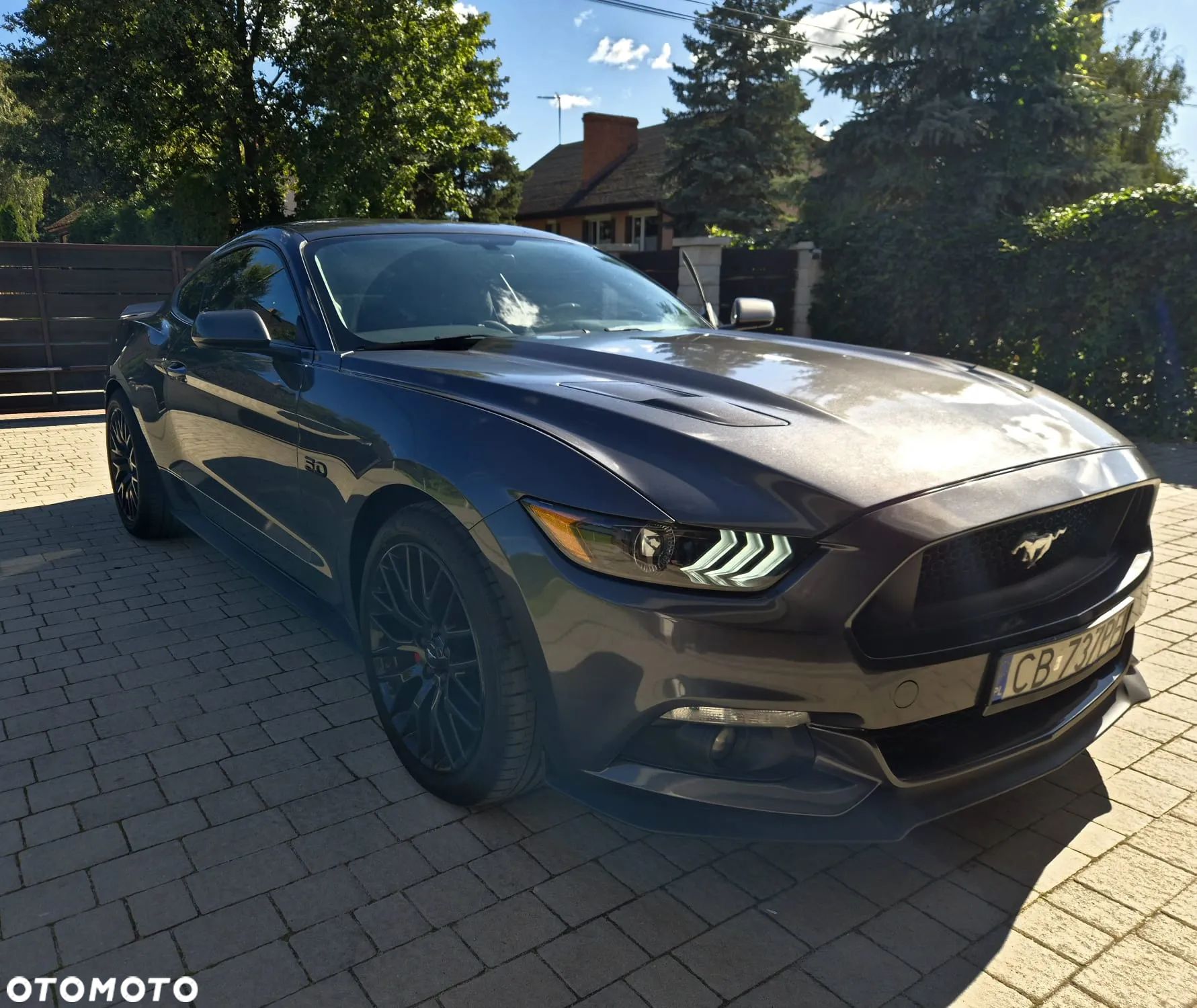 Ford Mustang Fastback 5.0 Ti-VCT V8 GT - 1