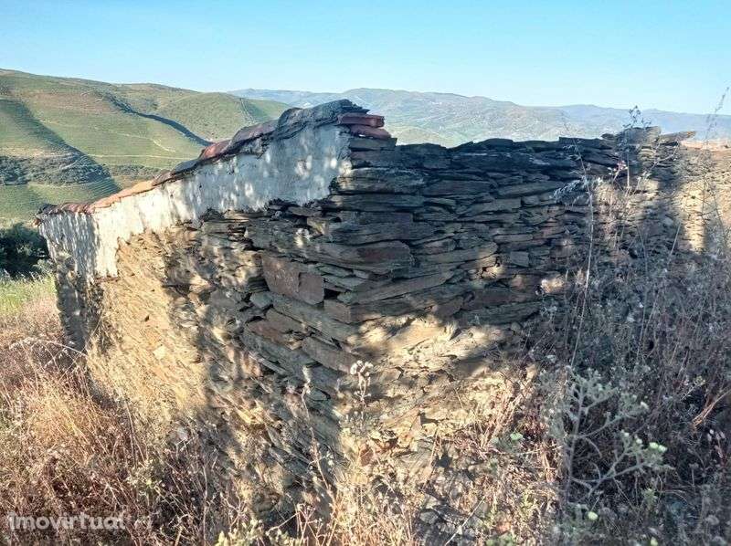Terreno Rustico em Sequeiros - Torre de Moncorvo - Grande imagem: 4/8