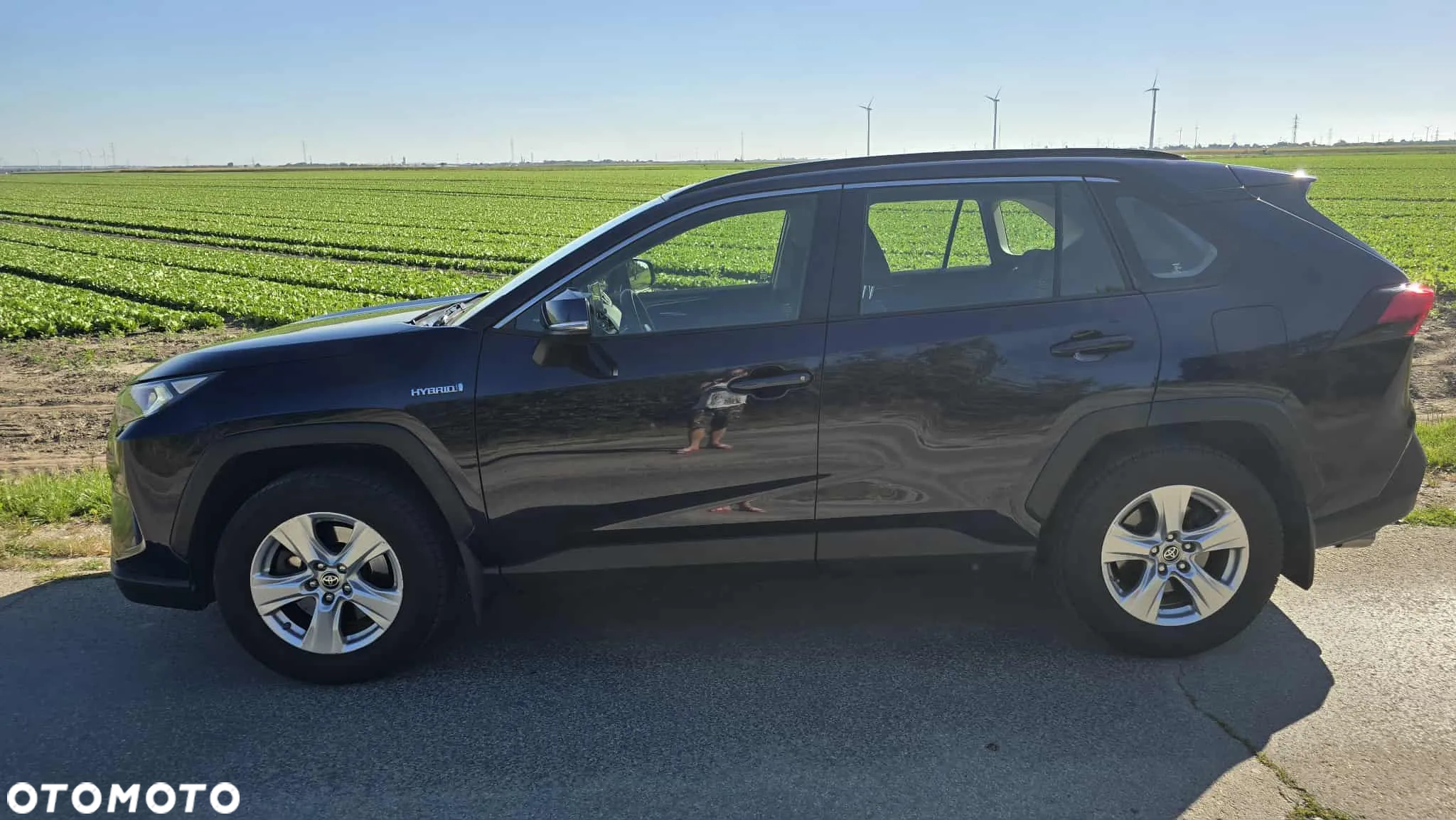 Toyota RAV4 2.5 Hybrid Executive 4x2 - 4