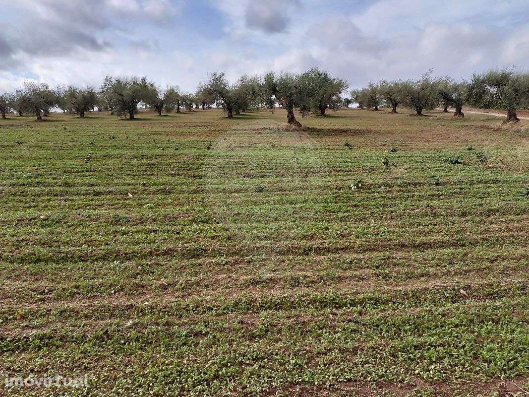 Terreno  para venda - Grande imagem: 3/7