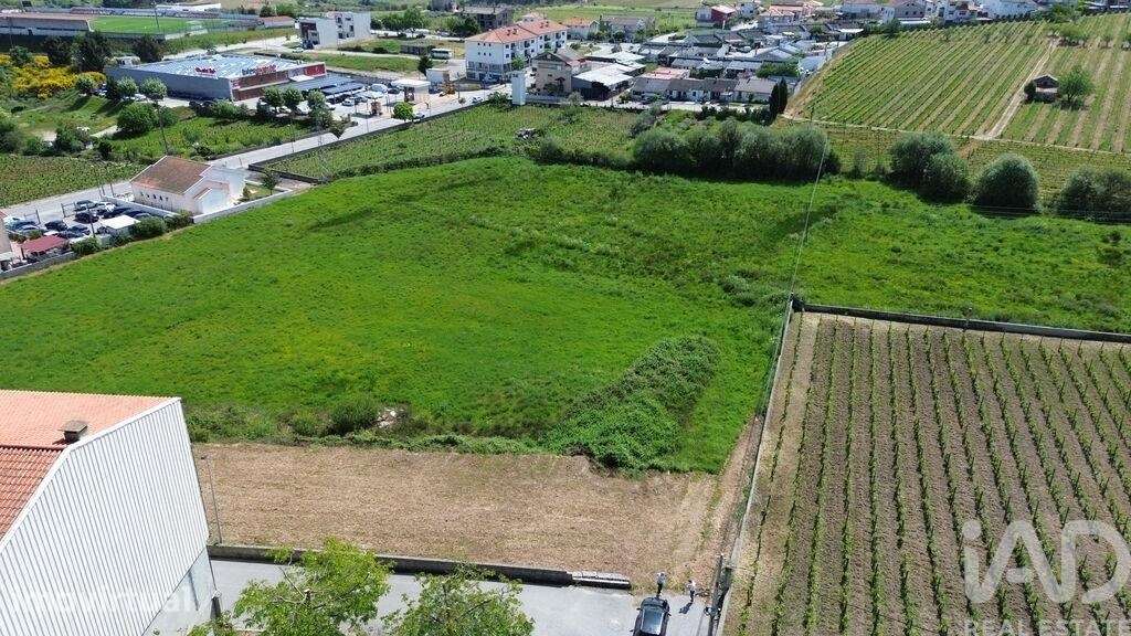 Terreno Agrícola em Alijó - Grande imagem: 5/12