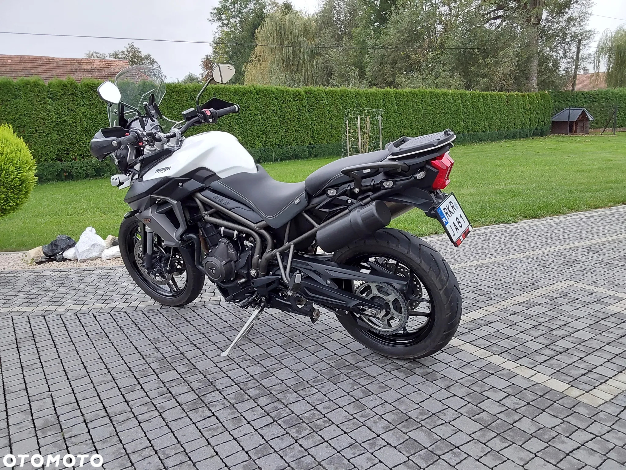 Triumph Tiger - 11