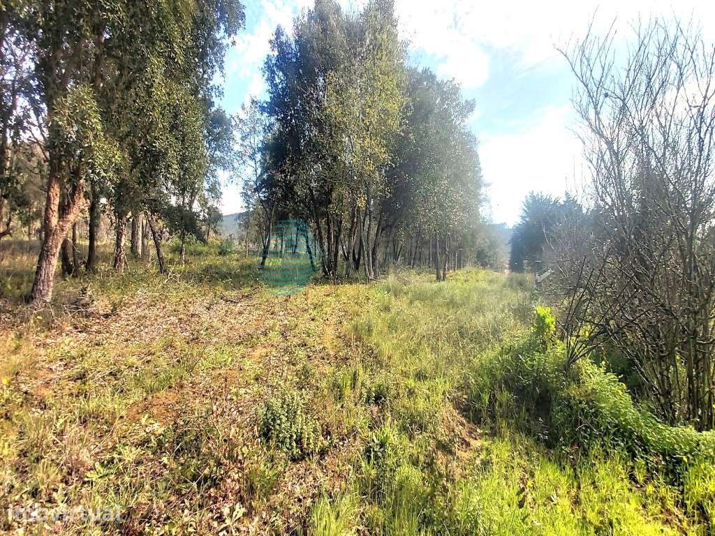 Terreno excelente localização, em Roliça - Grande imagem: 2/8