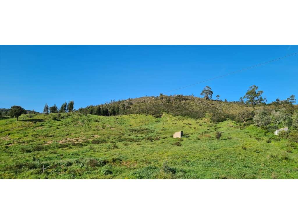 Quinta perto de São Luís - Grande imagem: 4/10