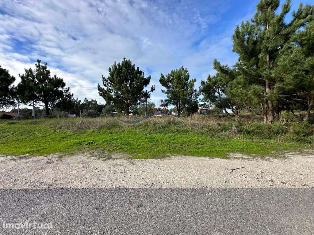 Terreno - Garcia - Grande imagem: 3/19