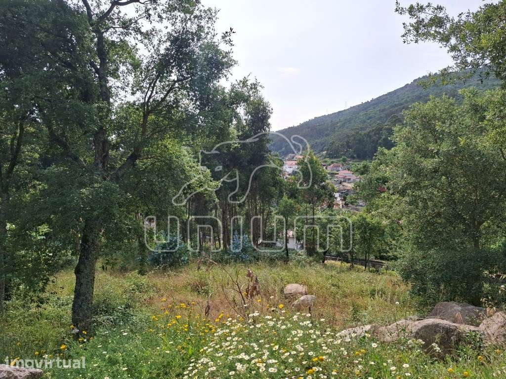 Terreno com projeto aprovado em Carvoeiro - Viana do Castelo - Grande imagem: 5/6