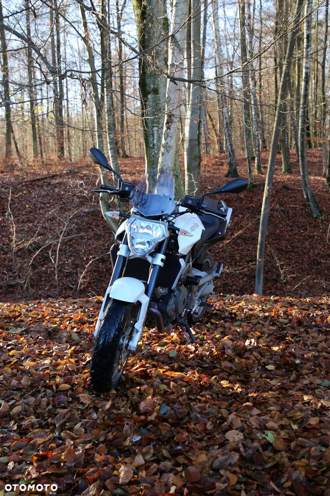 Aprilia Shiver - 8