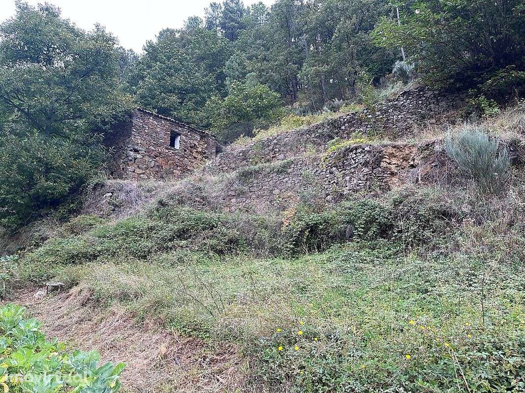 Quinta T4 para venda - Grande imagem: 4/14