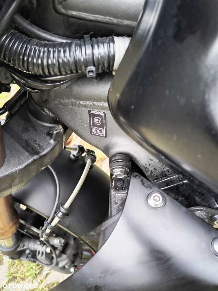 Kawasaki Z - 31