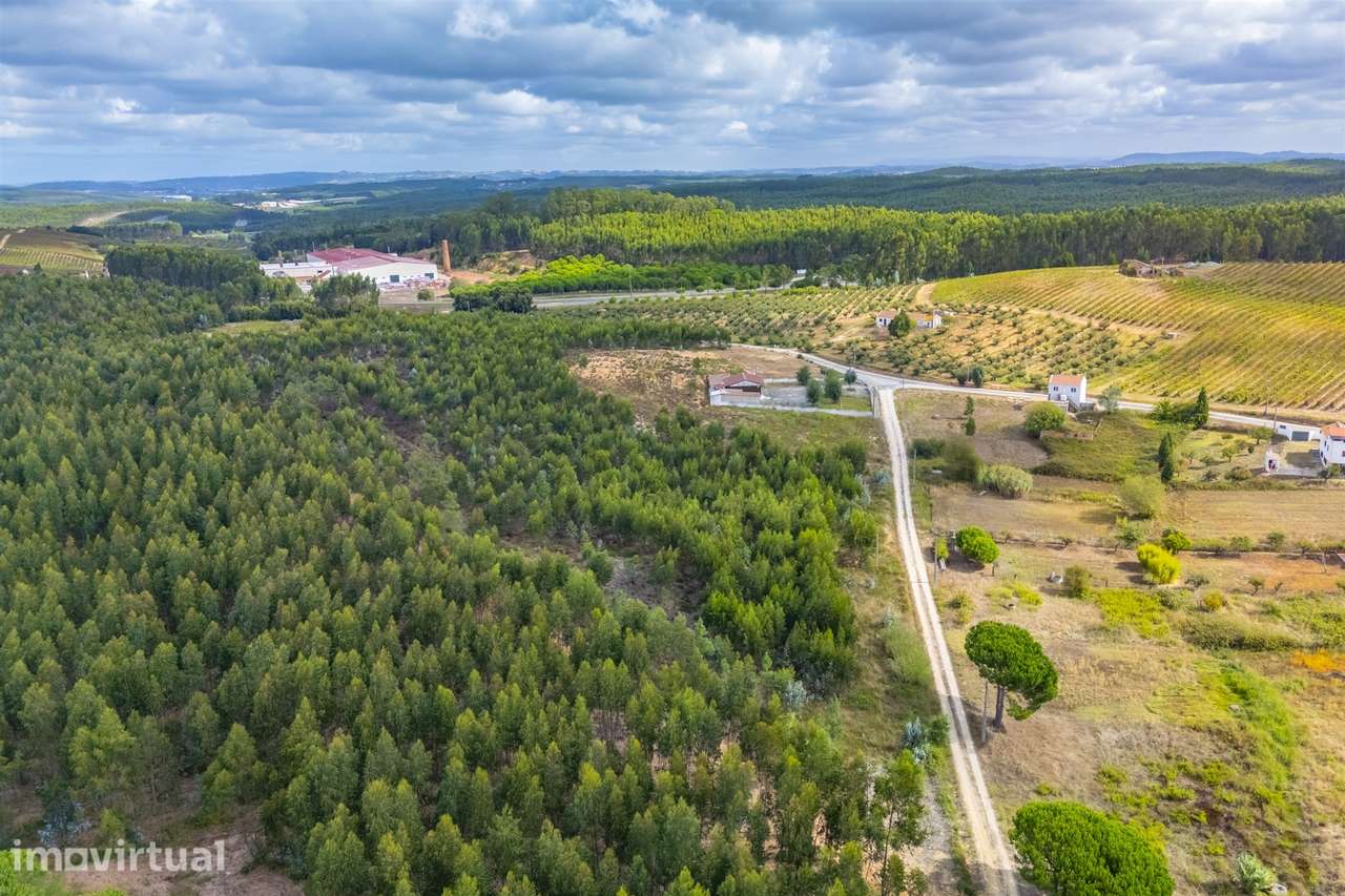 Lote de Terreno para construção 1000 m2.  Inserido em loteamento  para - Grande imagem: 3/7