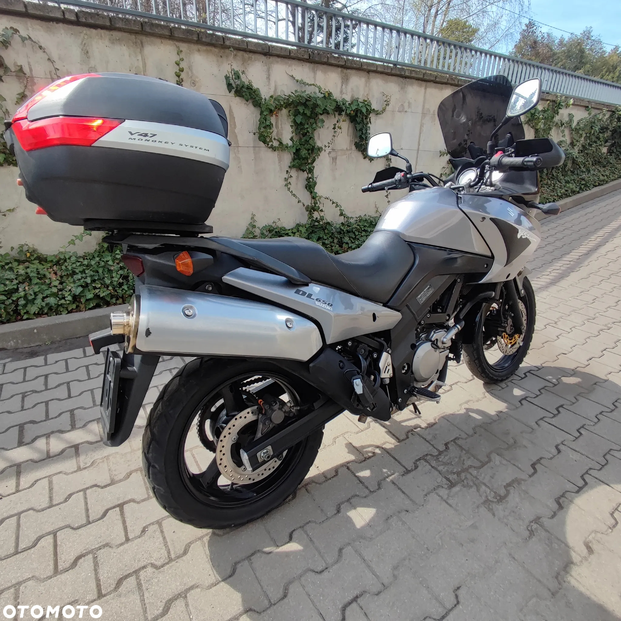 Suzuki DL - 6