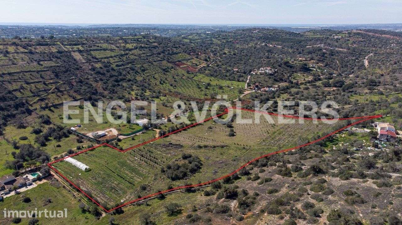 Terreno com Potencial para Agricultura Biológica - Grande imagem: 3/4