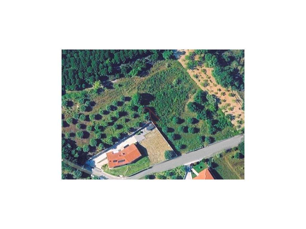 Terreno /Construção/Ourém - Grande imagem: 5/5