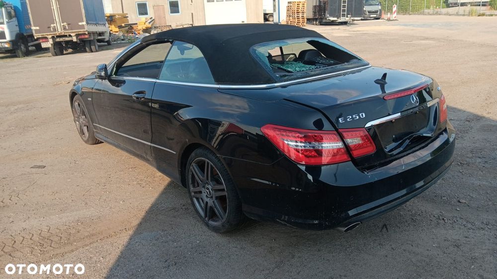 Mercedes-Benz Klasa E 250 CDI DPF BlueEFFICIENCY 7G-TRONIC Avantgarde - 4