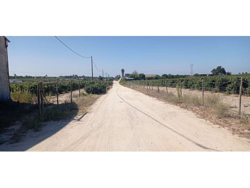 Terreno com Armazém e moradia - POCEIRÃO - Grande imagem: 5/6