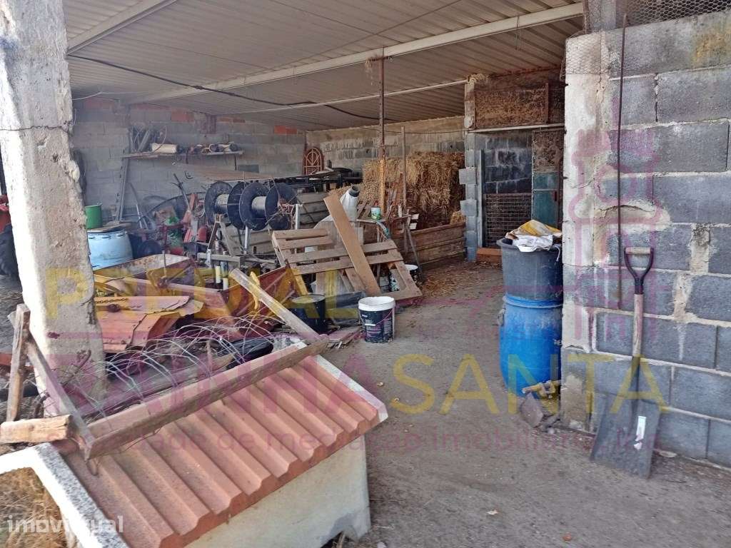 Herdade toda murada com artigo urbano 1460 m2 e rústico com 15.000 m2 - Grande imagem: 5/11