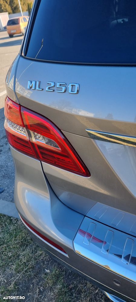 Mercedes-Benz ML - 23