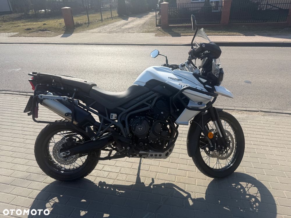 Triumph Tiger - 20