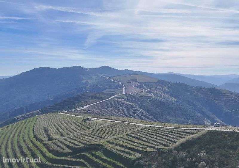 Vende-se terreno rústico em Valença do Douro - Tabuaço - Grande imagem: 5/12