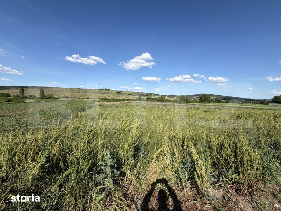 Teren intravilan in suprafata de 5900 mp la drum european - Imagine principală: 4/4