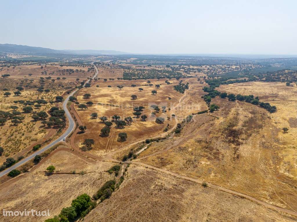 Herdade de 152 hectares em Marmelar, Alentejo - Grande imagem: 3/38