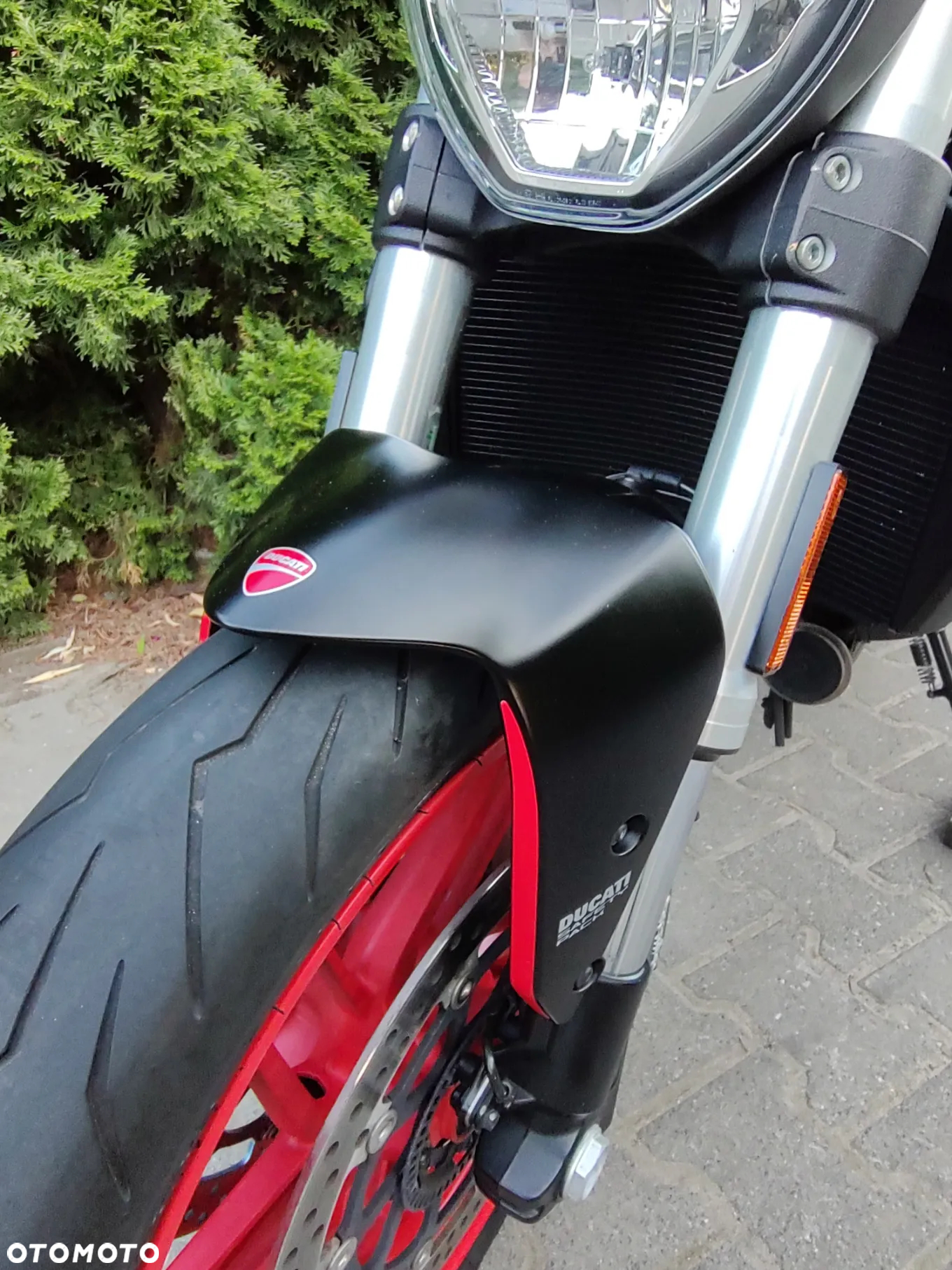 Ducati Monster - 16