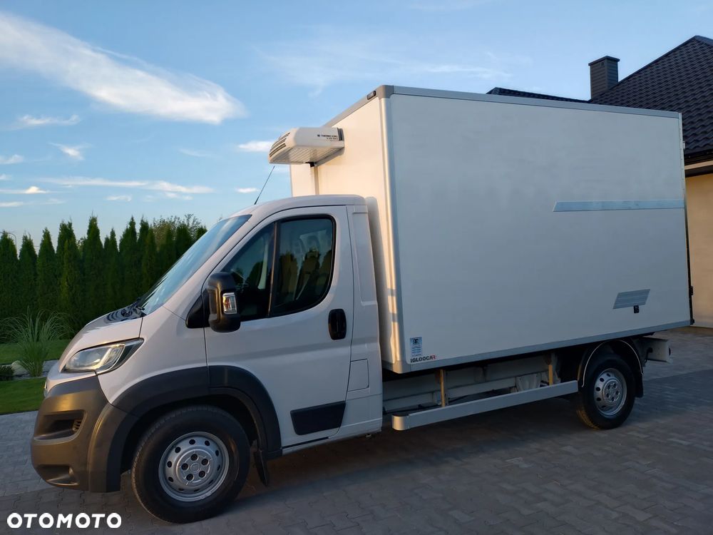 Fiat Ducato Chłodnia ThermoKing - 5