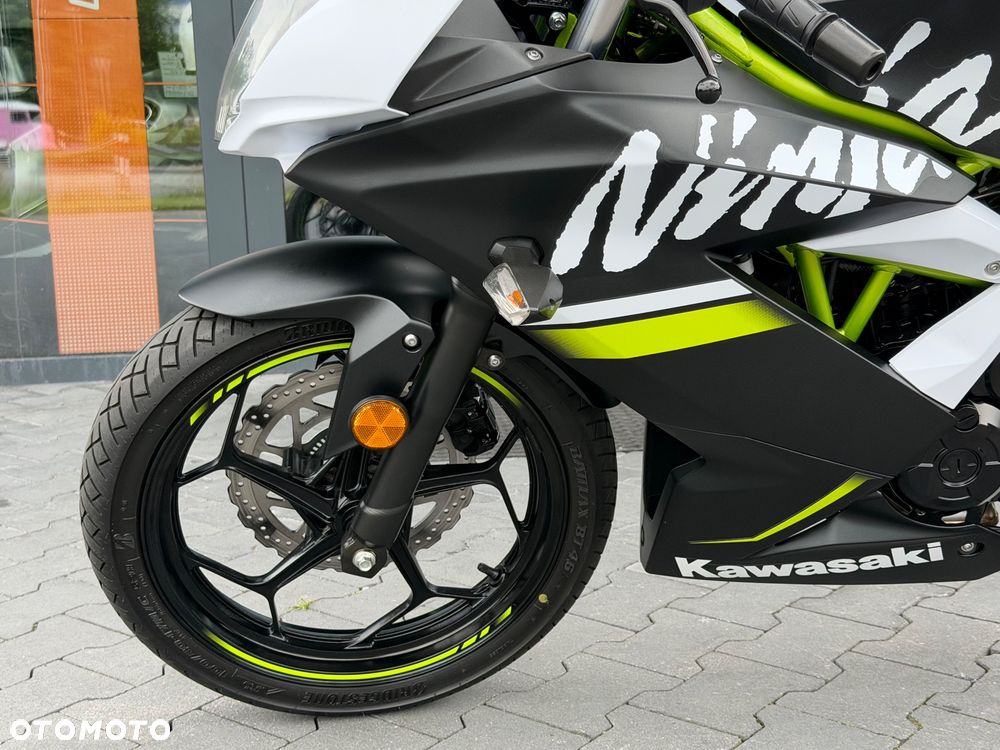 Kawasaki Ninja - 31