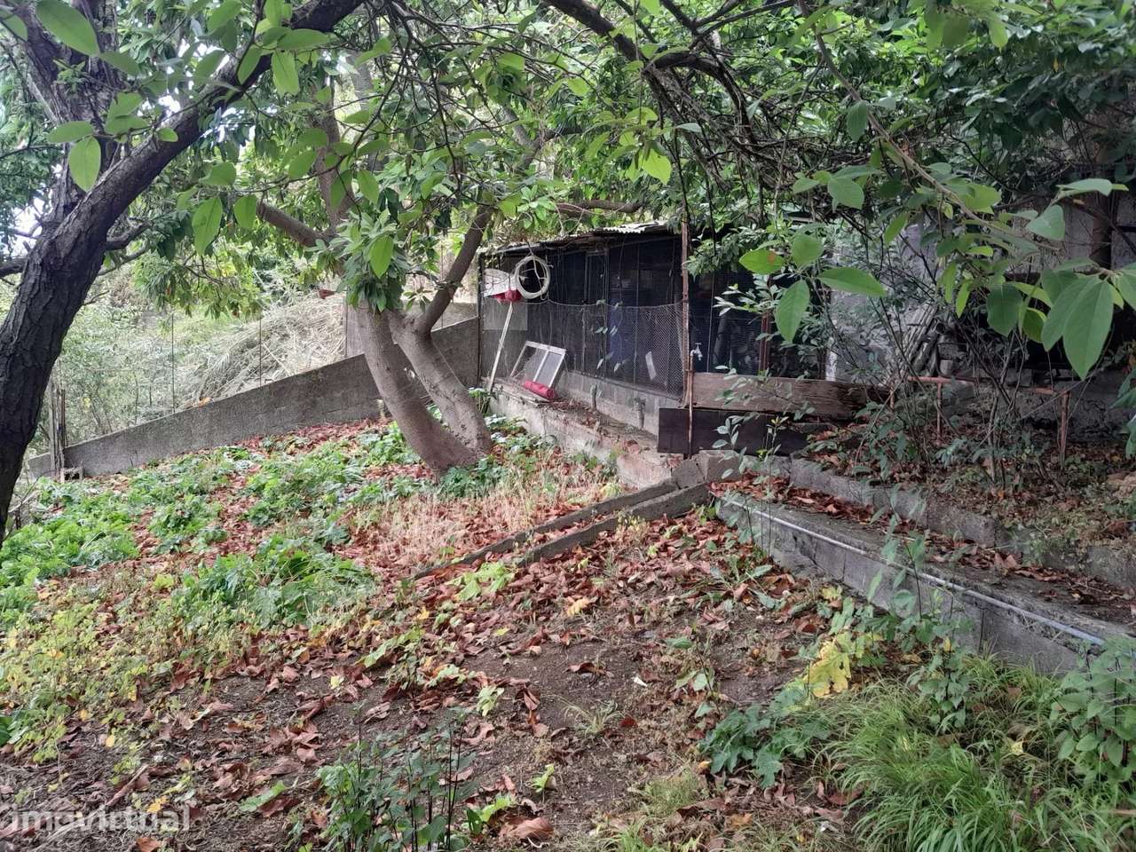 Moradia T2 com terreno e vista mar em Santo António, Funchal - Grande imagem: 4/26